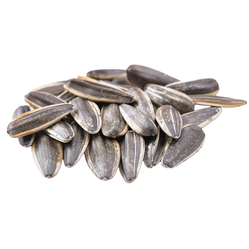 Adalılar | Sunflower Seeds with Lemon Sauce