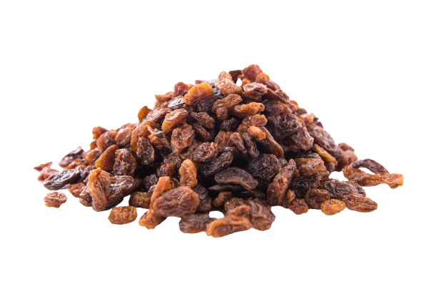 Adalılar | Tanem Raisin