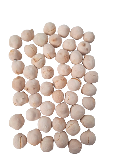 Adalılar | Tanem White Chickpeas