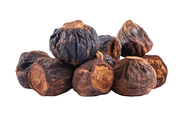 Adalılar | Tanem Dried Fig