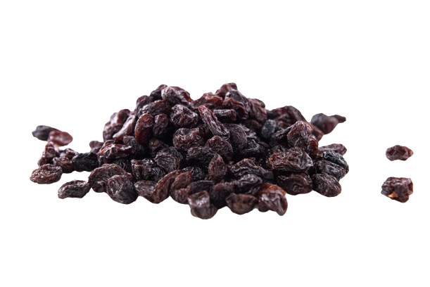 Adalılar | Tanem Raisin