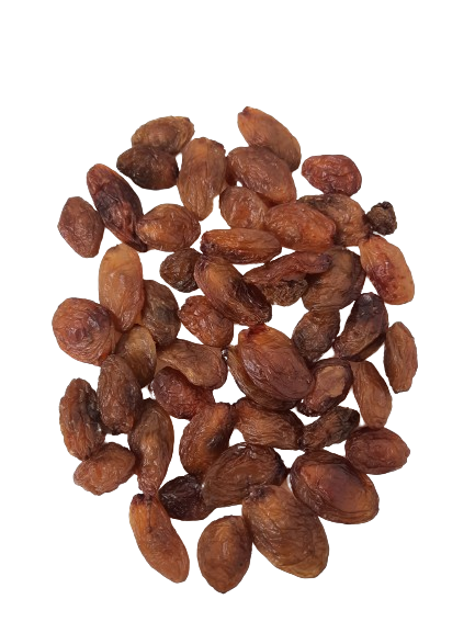 Adalılar | Tanem Raisin