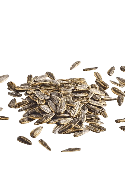 Adalılar | Sunflower Seeds with Chicken Sauce